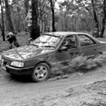 Relentless as ever is Noddy! pic by Golly Photo