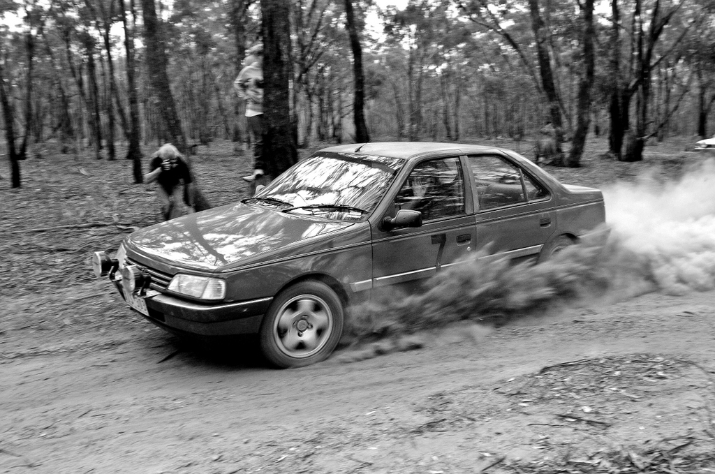 Relentless as ever is Noddy! pic by Golly Photo