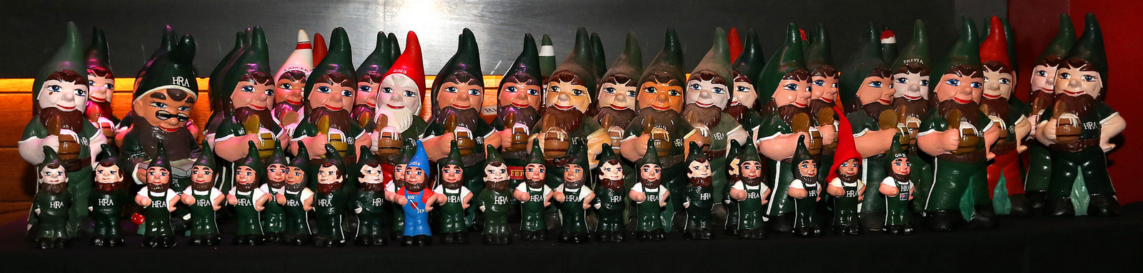 HRA Gnome census, February 2020